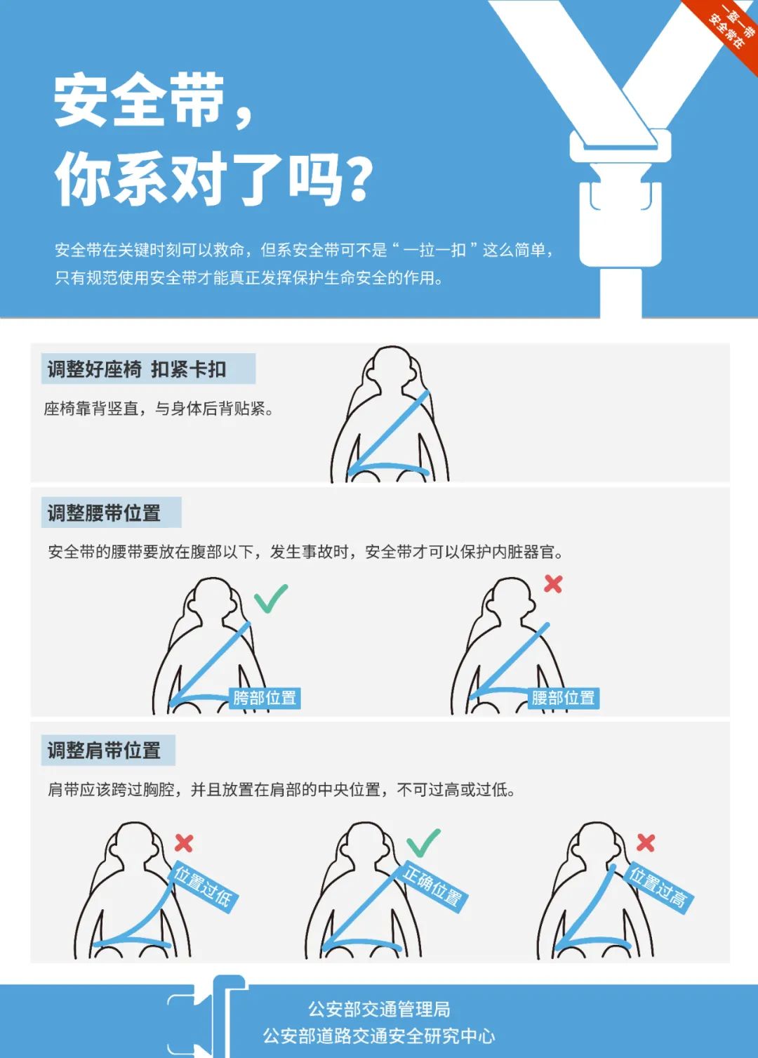 最新交规中的安全带重要性及应用解析